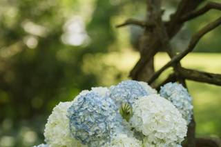 Buttercup Floral - 14