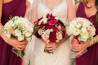 Jamie Bodo Photography - 46