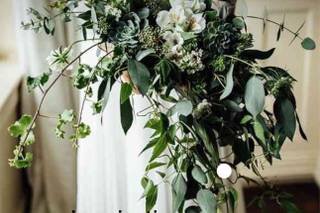 Fleurs du Soleil - 25