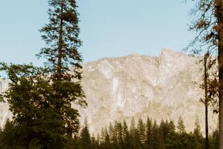 Wesley Harden Photography - 47
