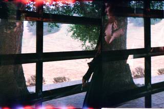 Sasha Prince Photography - 7