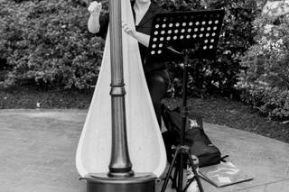 Ashlyn Wrobleski, Professional Harpist - 5