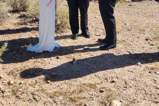 Weddings To Remember - 5