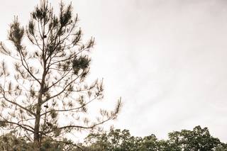 Ashley Steffens Photography - 41