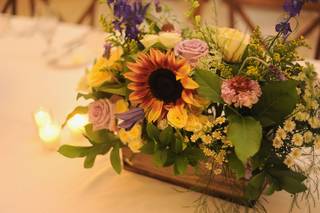 Jen Anderson Designs - 15