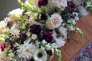 The Urban Botanist - 7