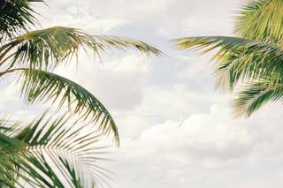 Weddings in the Bahamas - 31