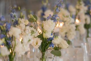Blooming Flowers - 6
