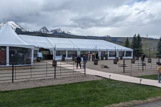 Green Lily Events - 5