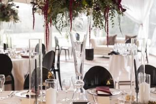 Meadow Brook Hall - 6