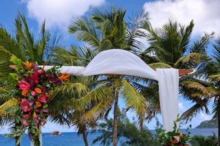 Awesome Caribbean Weddings - 37