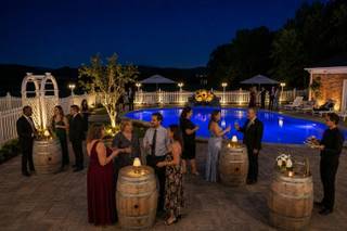 Wine Country Mansion - 4