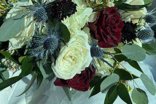 White Poppy Preservation - 21