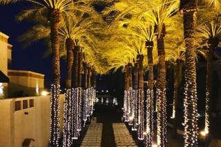 Arizona Grand Resort & Spa - 17