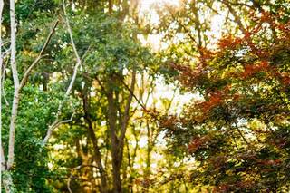 Nylagray Photography - 16