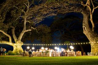 Jana Dillon Photography - 5