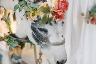 Haul N Ass Productions - 17