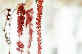 Platinum Petals - 10