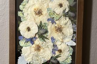 White Poppy Preservation - 37