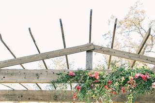 Allie Lindsey Photography - 21