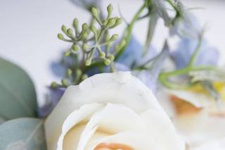Sarah Fischback Photography - 10