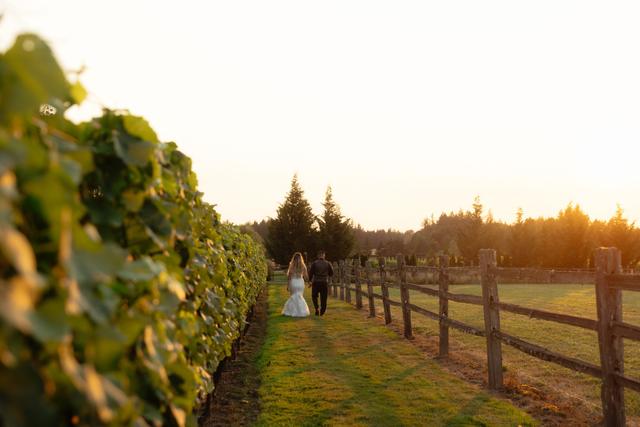 Jacquot Vineyard - 4