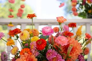 Rainbow Roots Floral Co. - 15