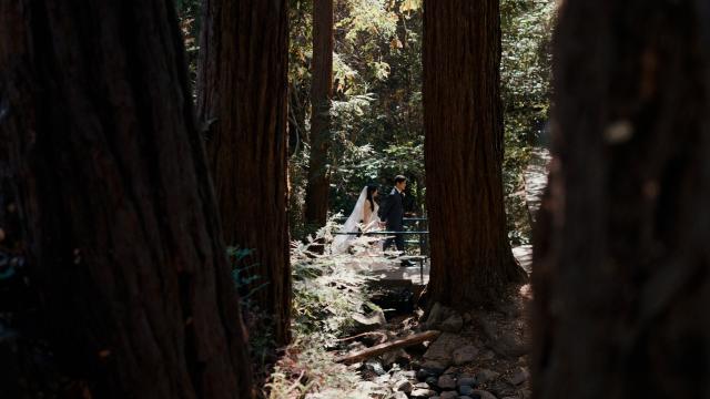 Two Perfect Events - 4