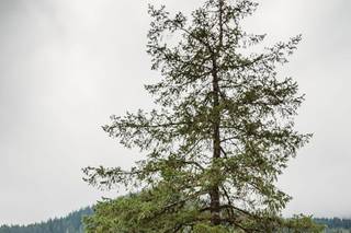 Dori Fitzpatrick Photography - 48