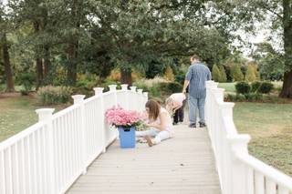 Seasonal Flowers - 10