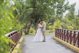 Tropical Pictures - 126
