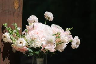Settles Petals - 6