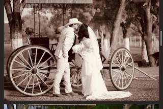 Vivi Photography - 14