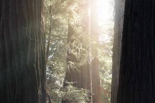 Jeff Thatcher Photography - 14