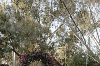 Cortney Helaine Events - 13