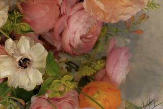 SimplyCole Florals - 6