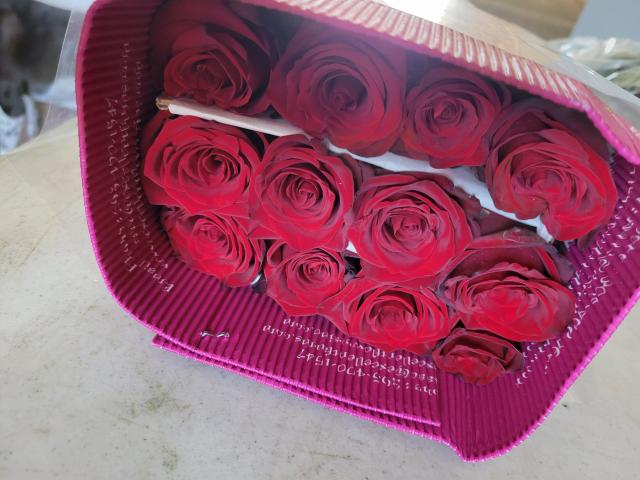 Bunches Direct - 1