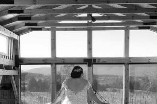 Faithbrooke Barn and Vineyards - 8