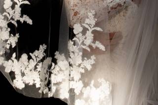 Bree Lea Photography - 16