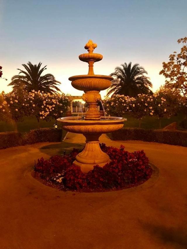 McCauley Estate Vineyards - 1