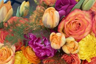 Beach Bloomz llc. - 11