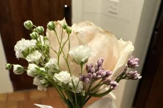 What N Carnation Flowers - 10