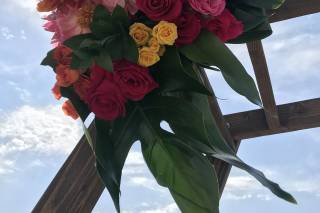 Moments in Bloom - 14