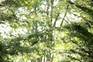 MGMillerPhoto - 8