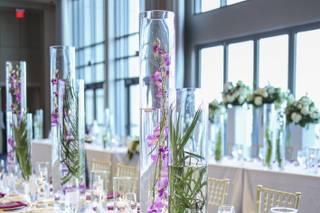 Graceful Designs - 7