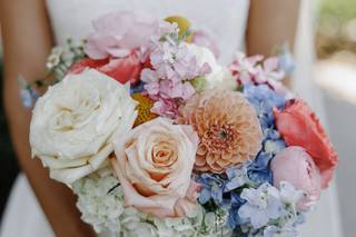 Windflower - 6
