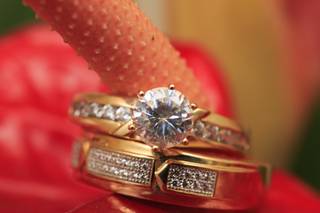 Chris Colyard Photography - 99