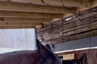 Hawk & Hawthorne - 10