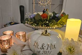 Absolutely Perfect Catering - 9