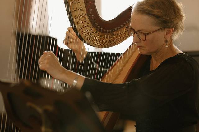 Milwaukee Harpist - Mary E Keppeler 3